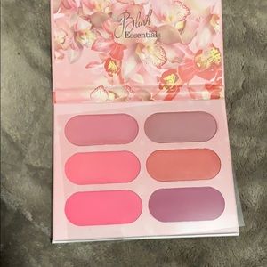 Coastal Scents blush essentials palette